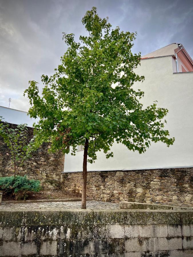 Cantinho Do Castelo Braganca Exterior photo